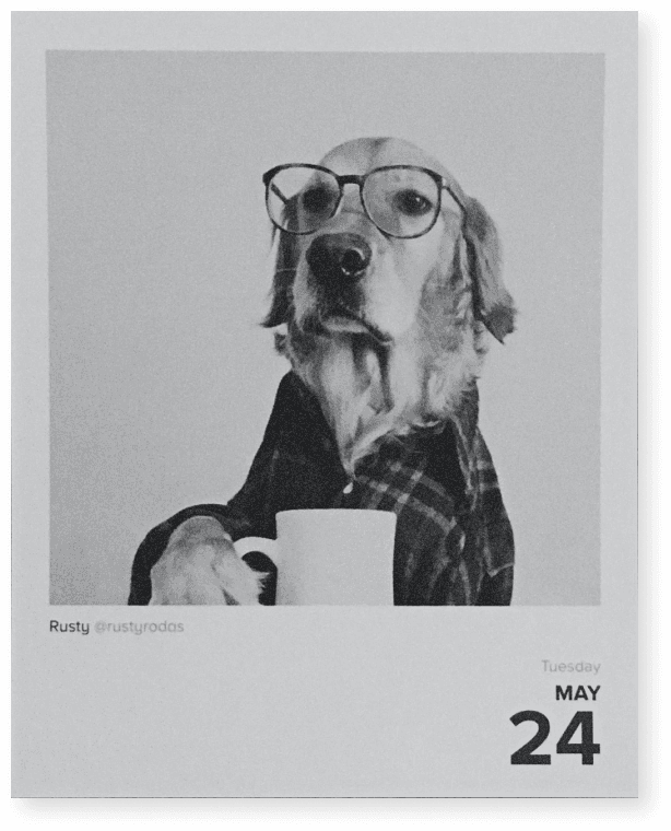 dog